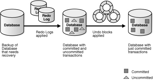 Oracle Archive Flash Logs Redo Logs Undo Logs